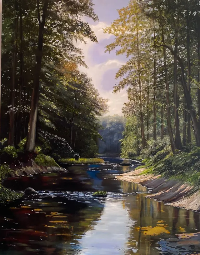 tussen licht en schaduw