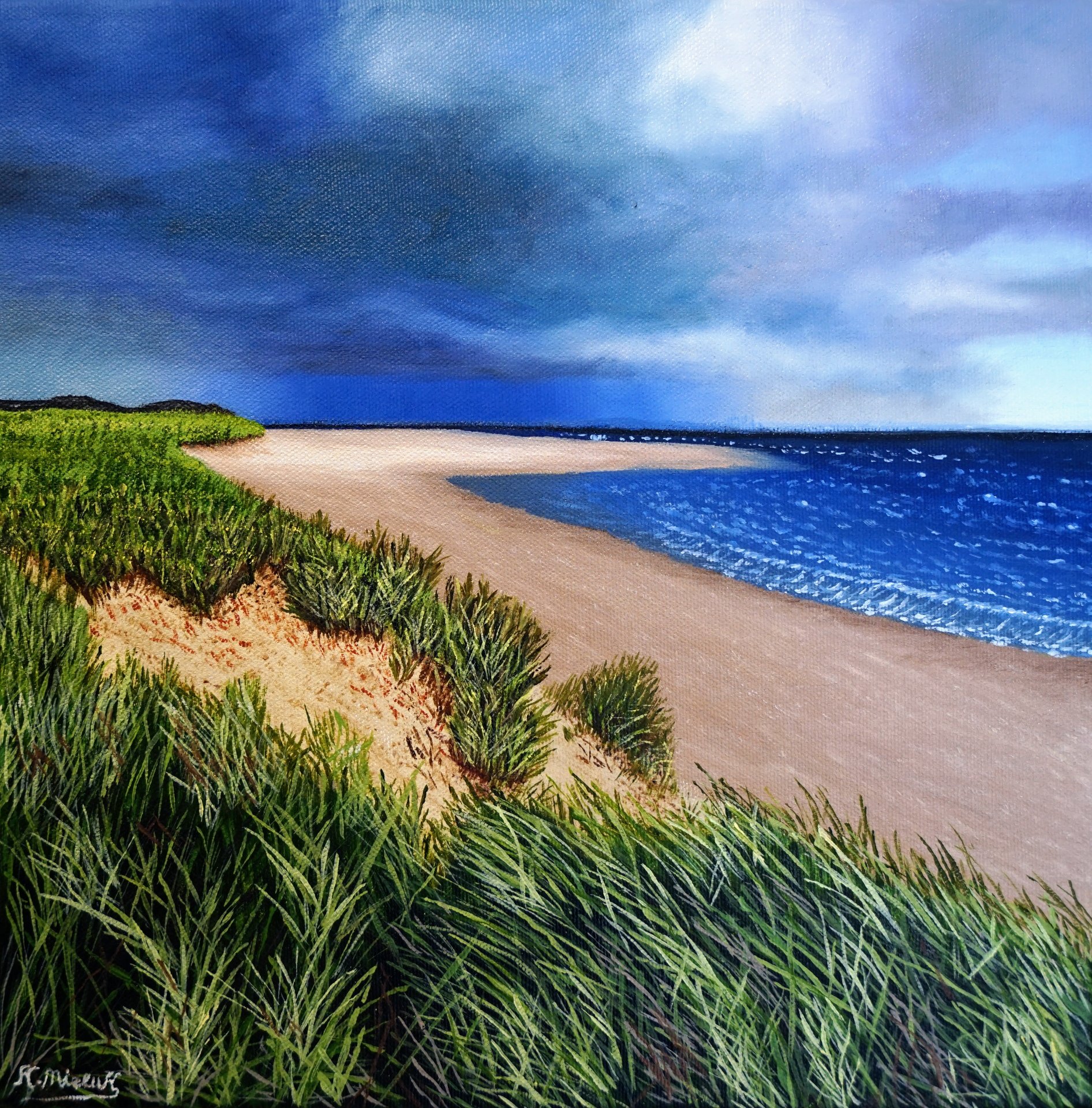 Stormy Coast