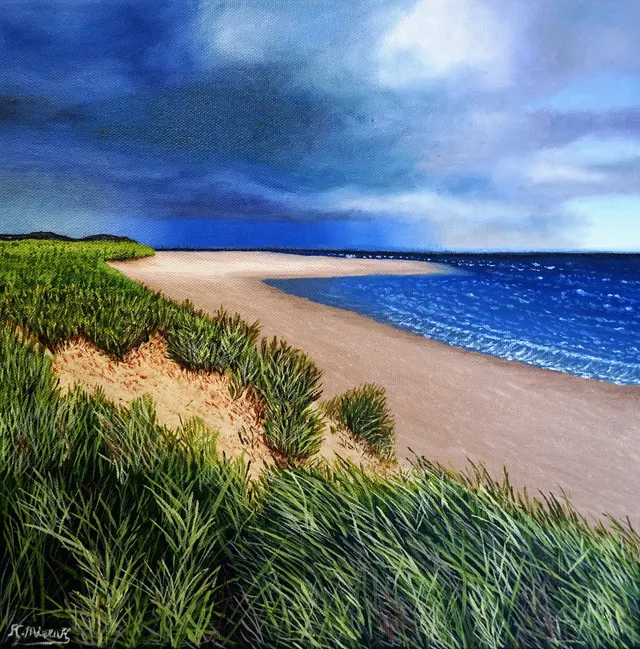 Stormy Coast