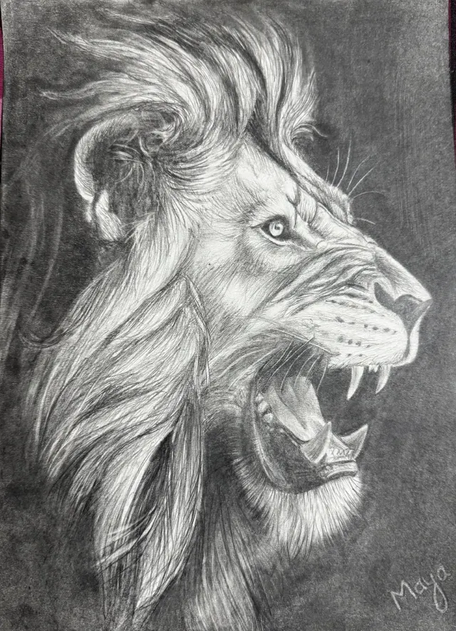 Majestic Roar – Original Graphite Pencil Drawing on Paper by Maya Valasai (A4 Size)