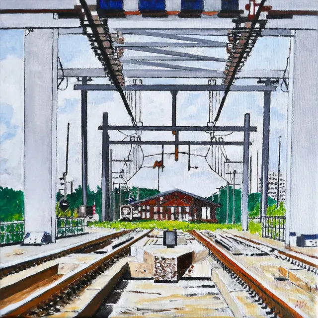 The Hoekse Line