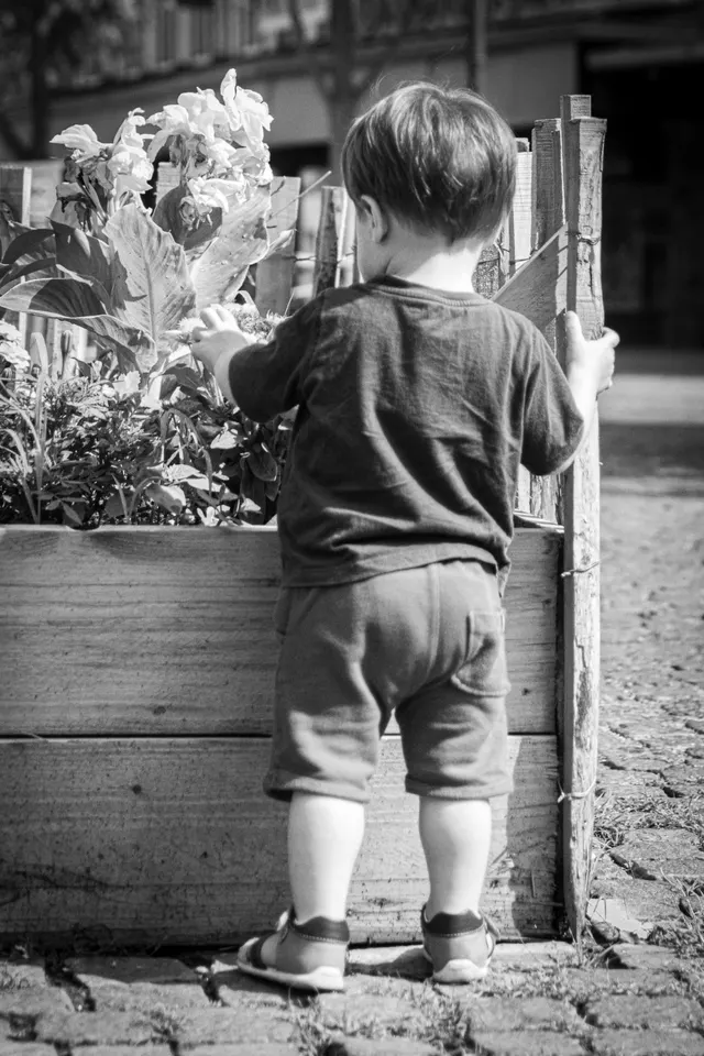 Enfance Végétale