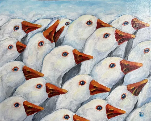 Geese