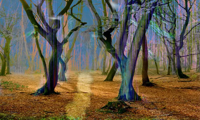 Mystifying forrest Opus 4