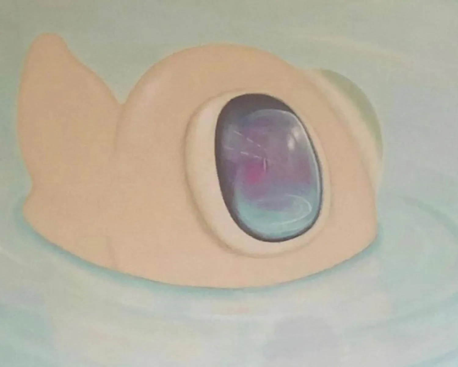 BubbleFish — Robert-Jan Poorter, oil on canvas — 2