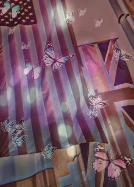 Butterflies & Stripes