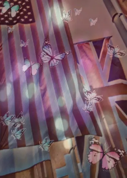 Butterflies & Stripes