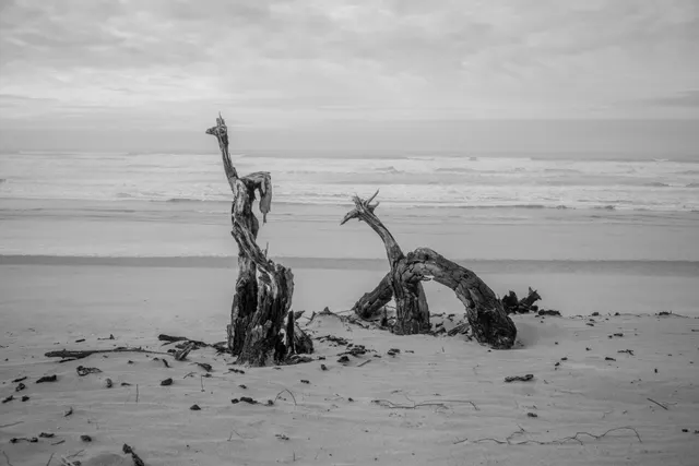 Nature(s) Maritime(s) 3007114