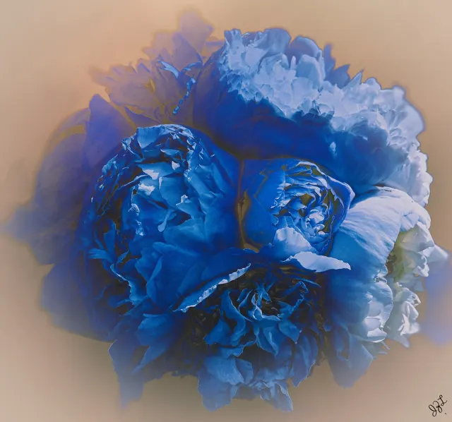 Winter Blues