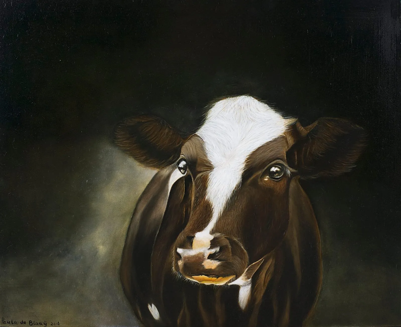 Cow · 2016 · 82×65 cm