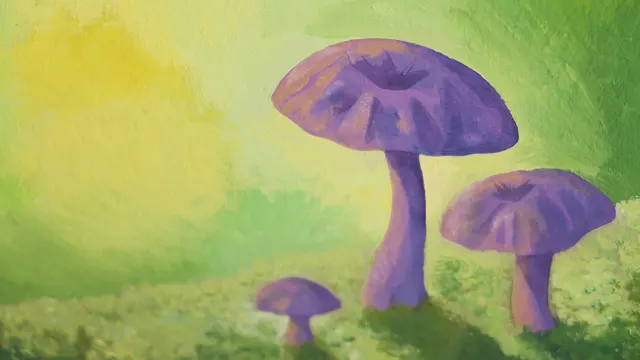 Laccaria amethystina