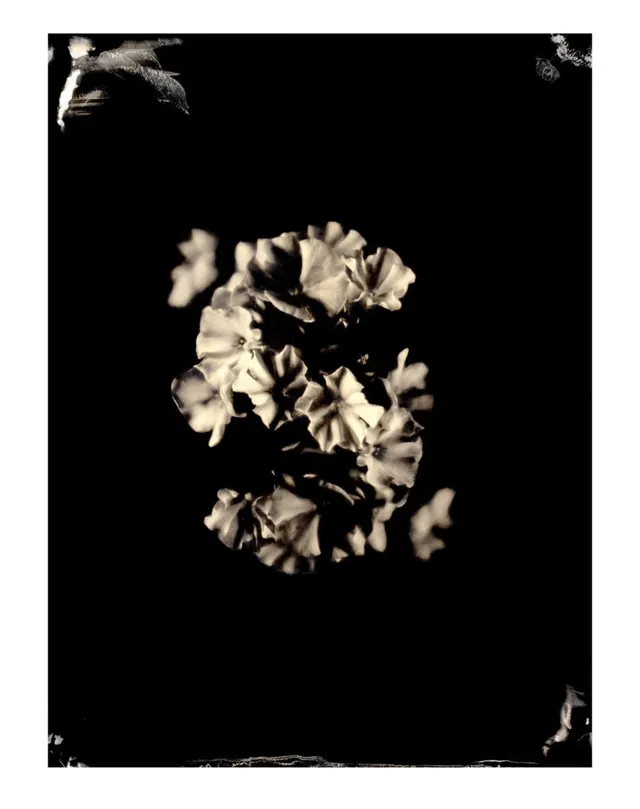 Untitled Ambrotype #30