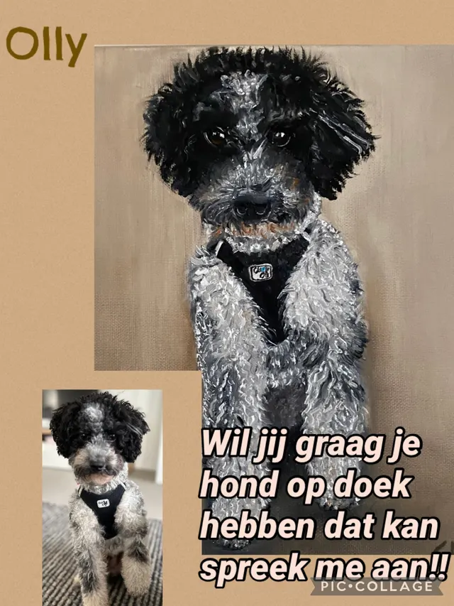 Olly doggie