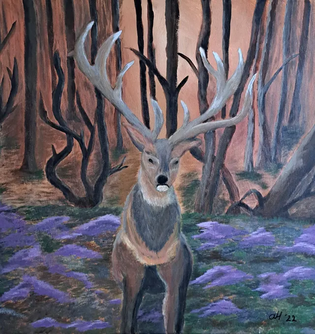 Encounter with a Deer