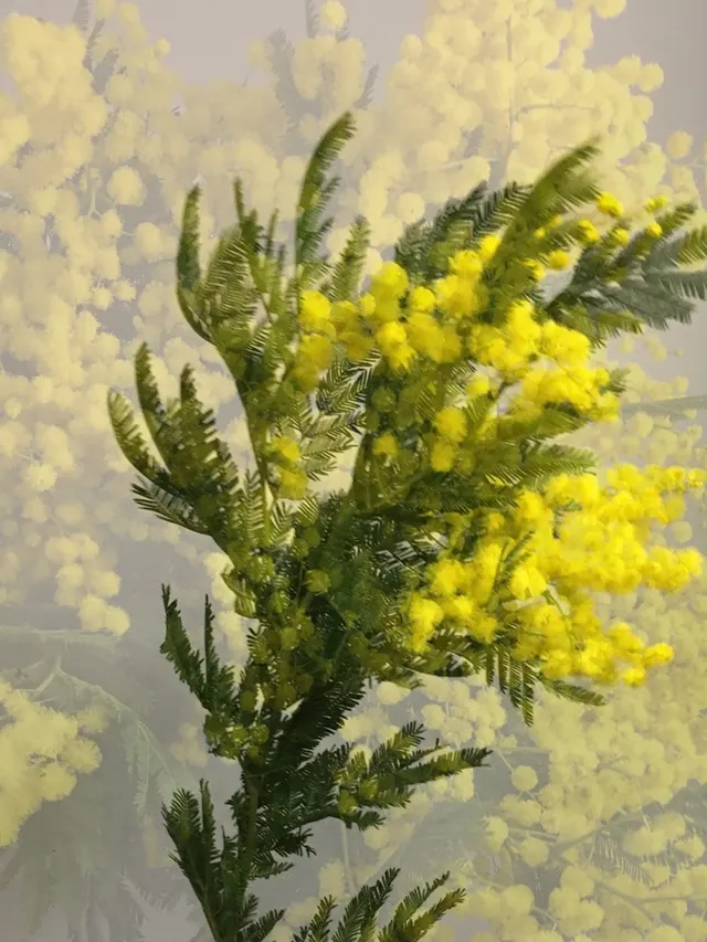 flora