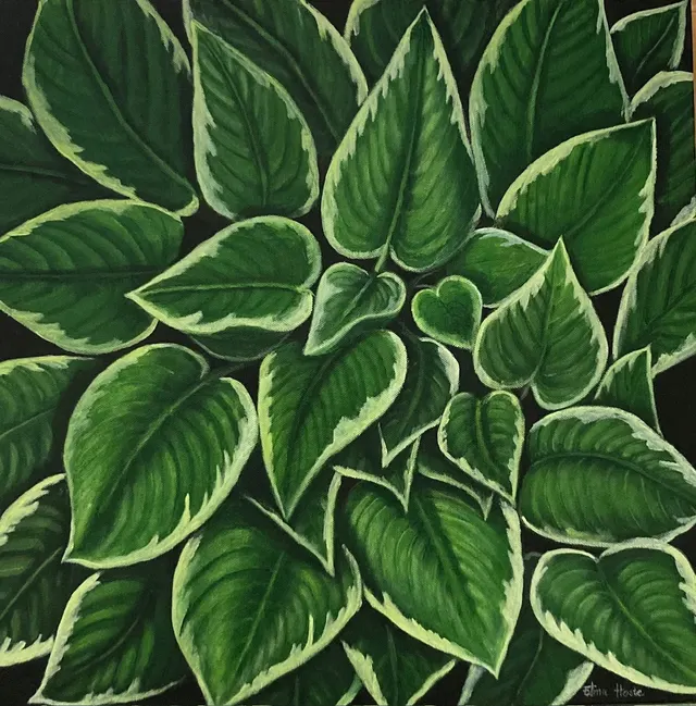 Hosta