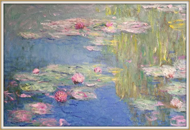 Lilies