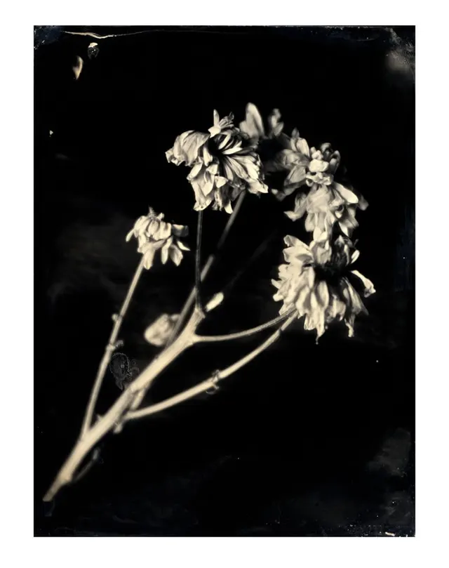 Untitled Ambrotype #34