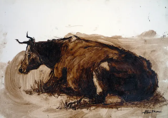 Resting-cow3