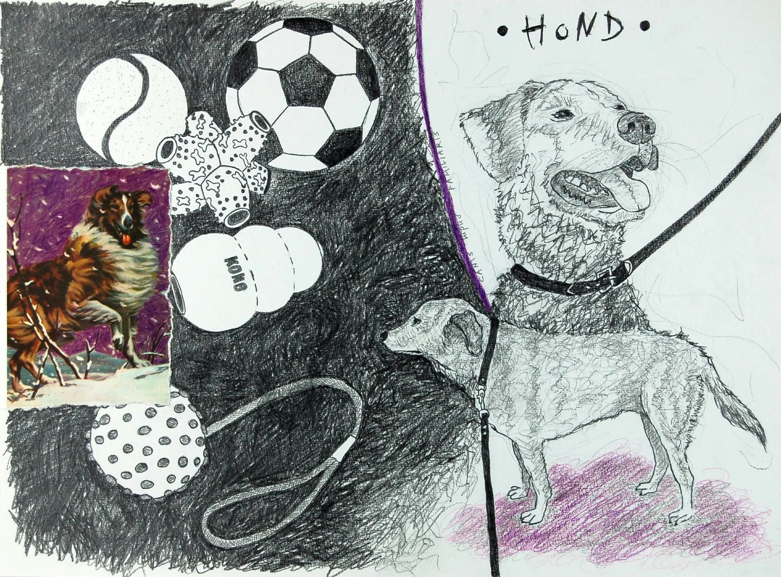 Hond I Dog