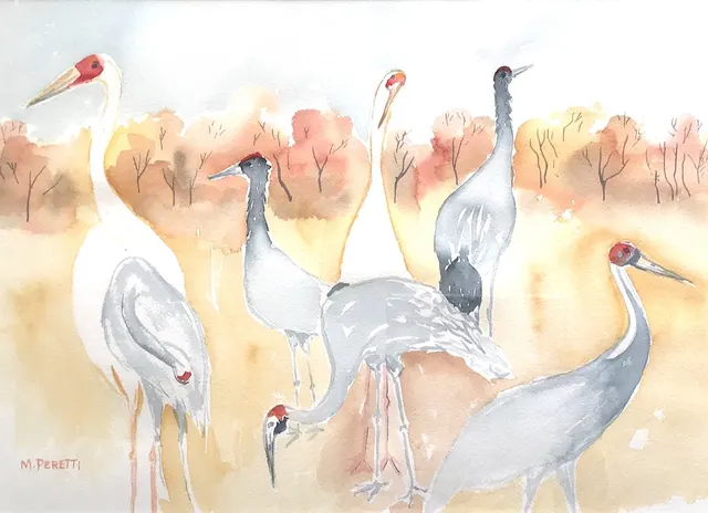 Four Crane Species