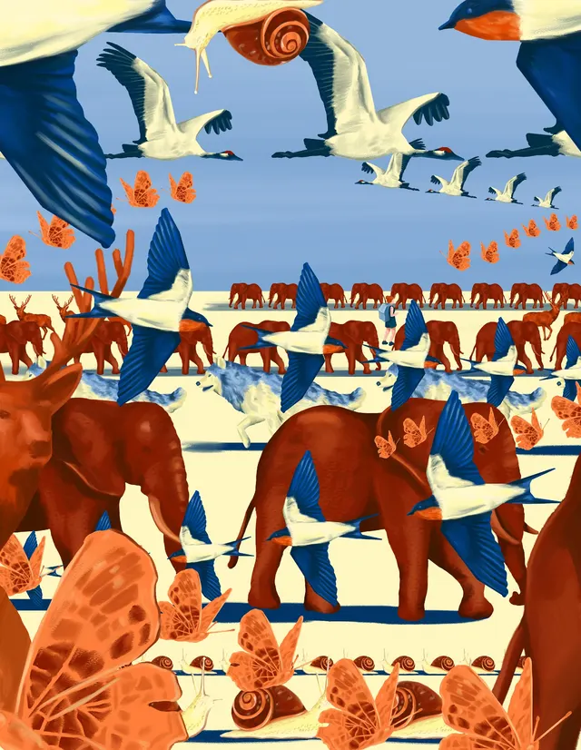 Animal Parade