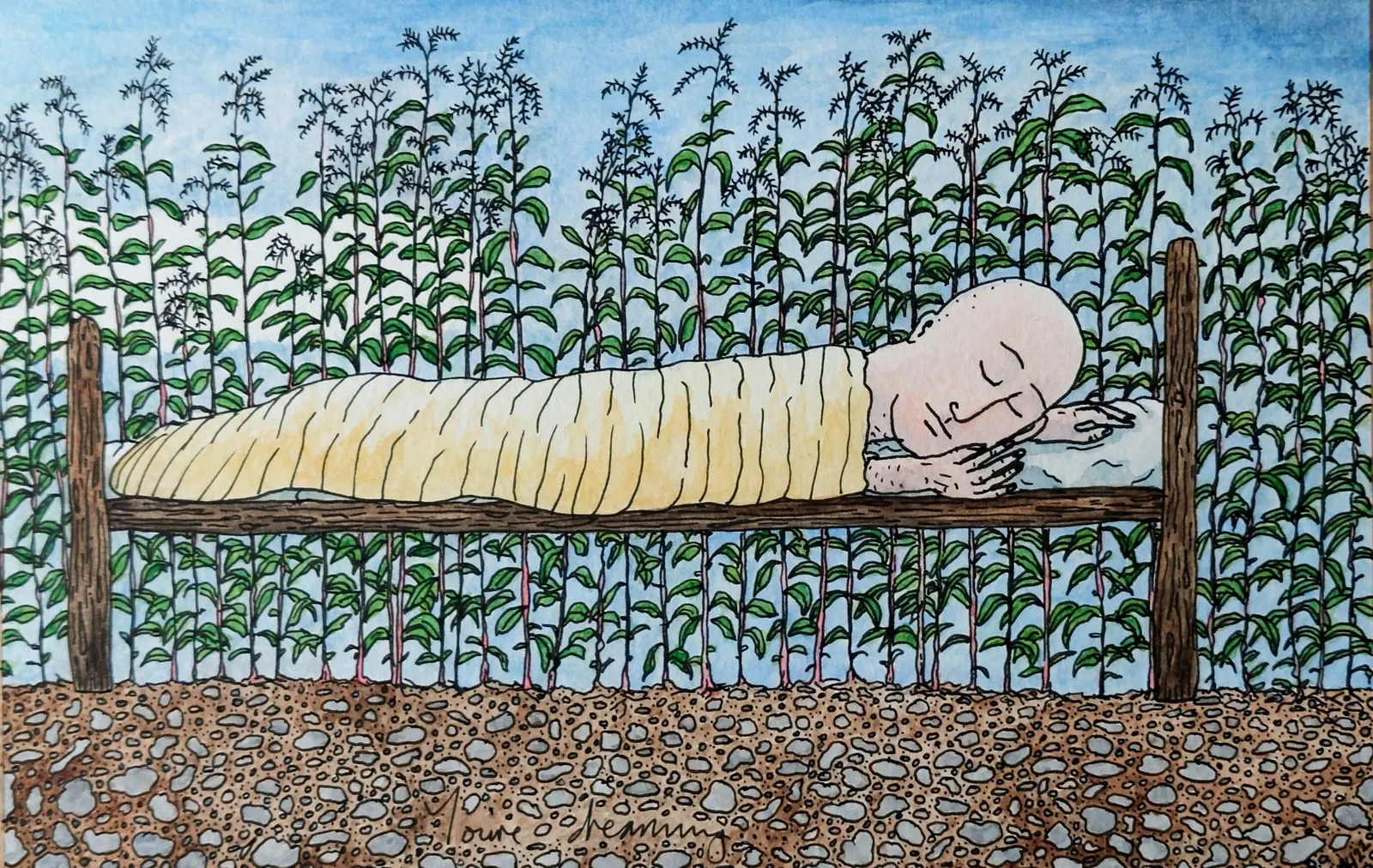 Sleeper · 2022 · 25.6×16.6 cm