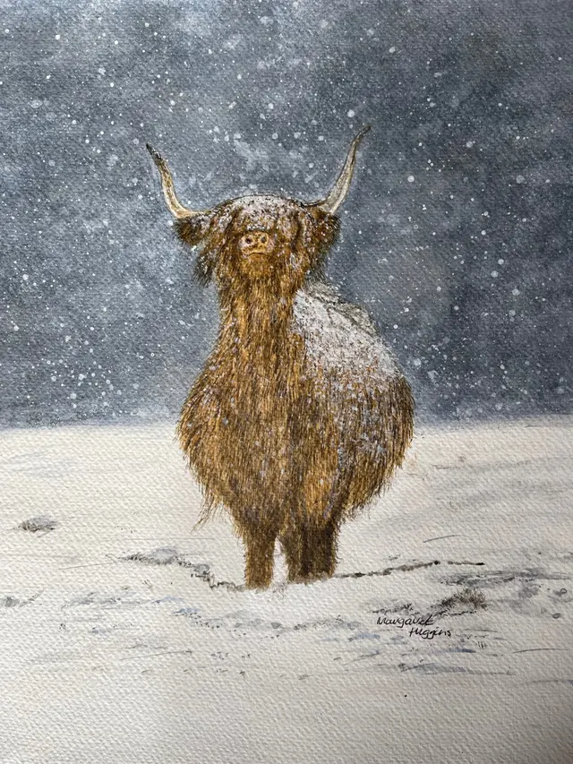 Highland Cow Snowstorm