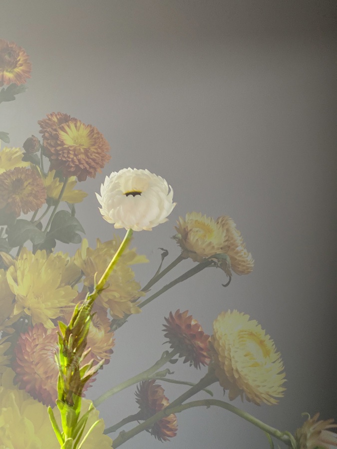 flora