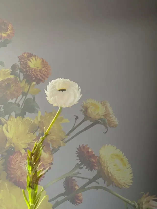 flora