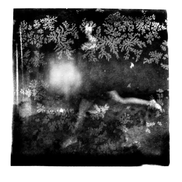 Polaroid portrait