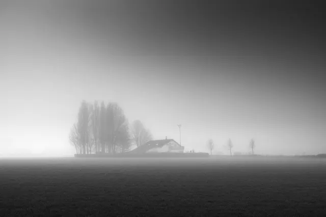 Dense Fog, limited edition 1/5