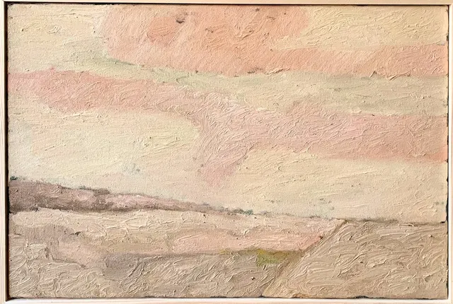 landschap 704