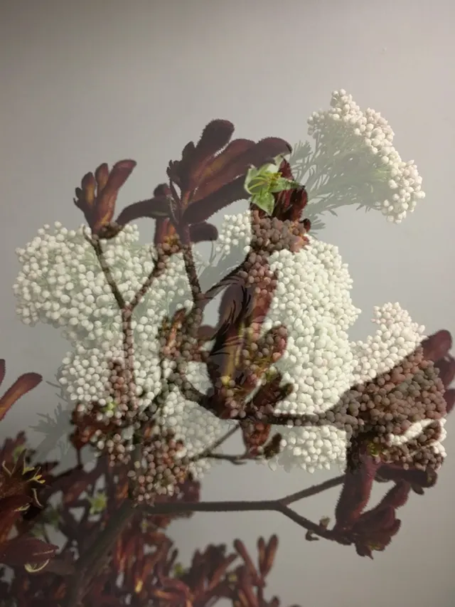 flora