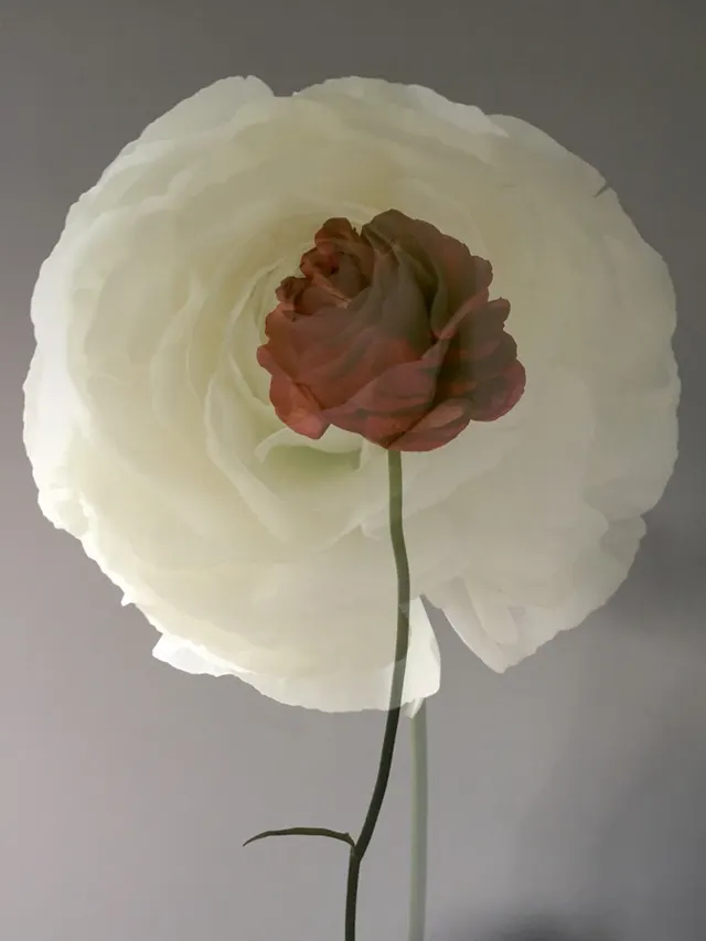 flora