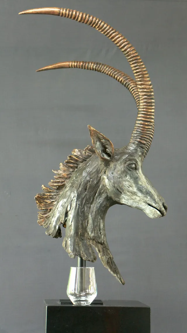 Sable Antelope Bust