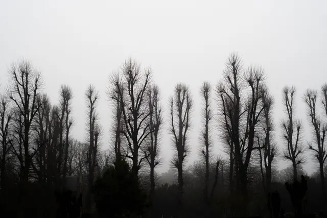 Silence