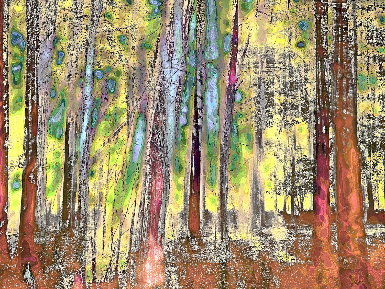 Mystifying Forrest opus 5