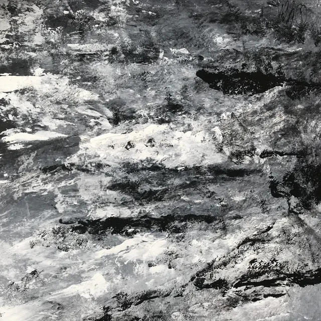 DS19020