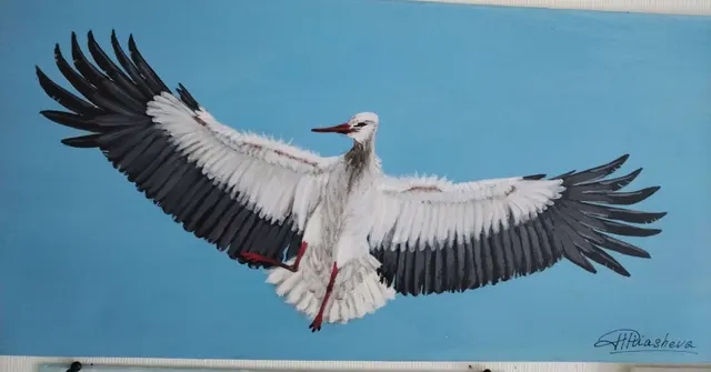 From the height of a bird's flight