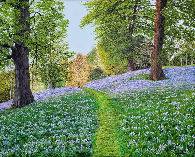 Bluebell Woods
