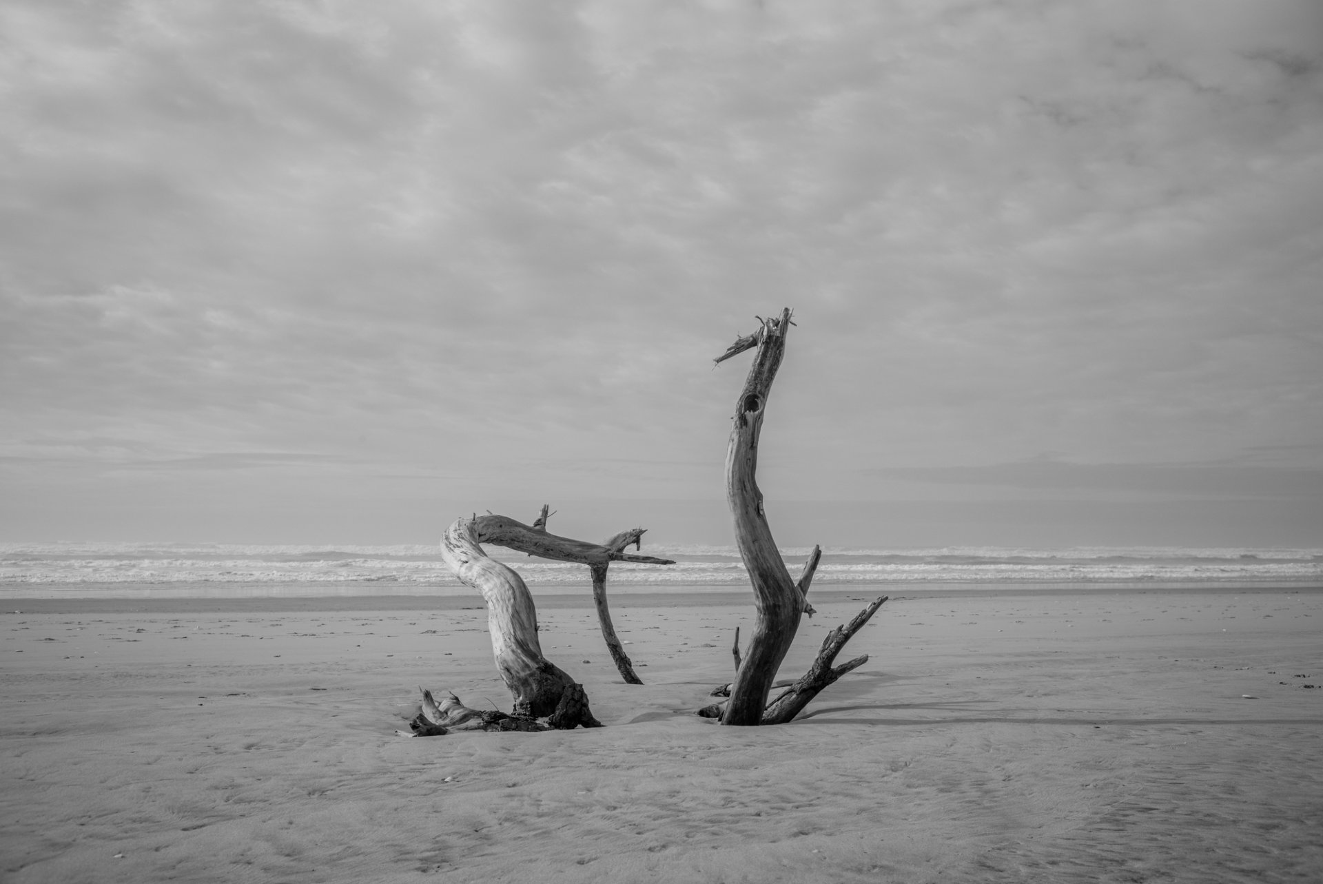 Nature(s) Maritime(s) 3007096