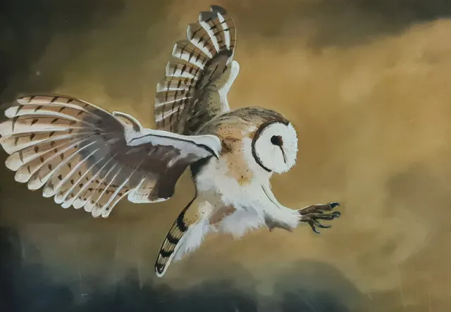 "Owl on the Prowl"