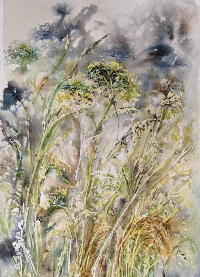 Spring meadow
