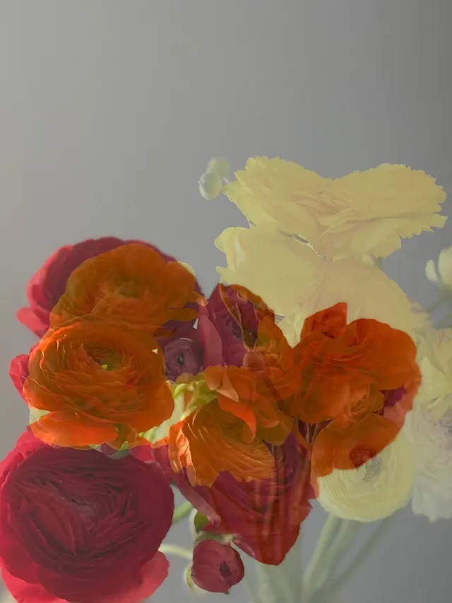 flora