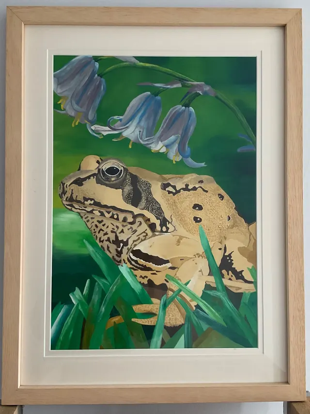 The Frog