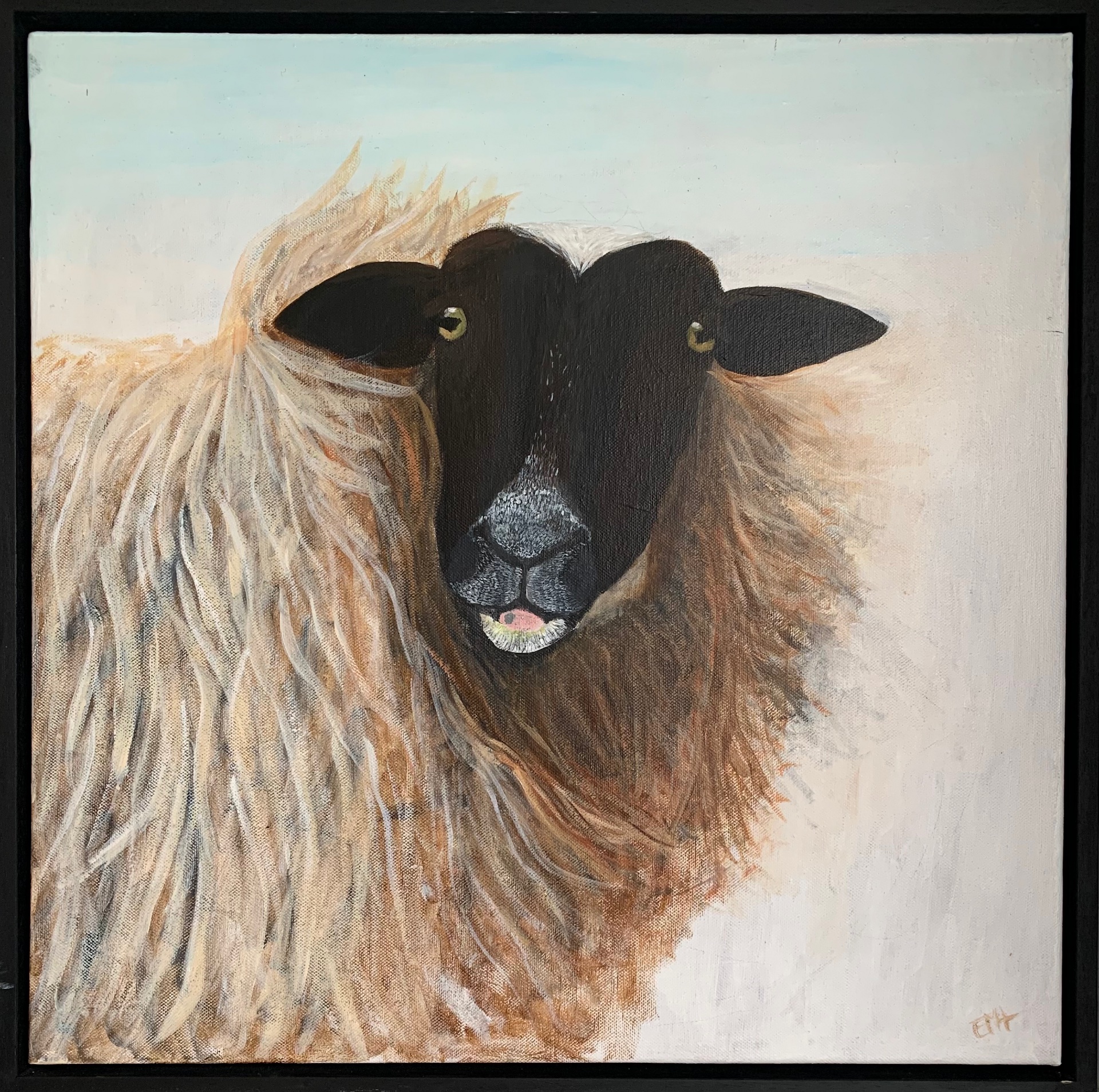 Schaap