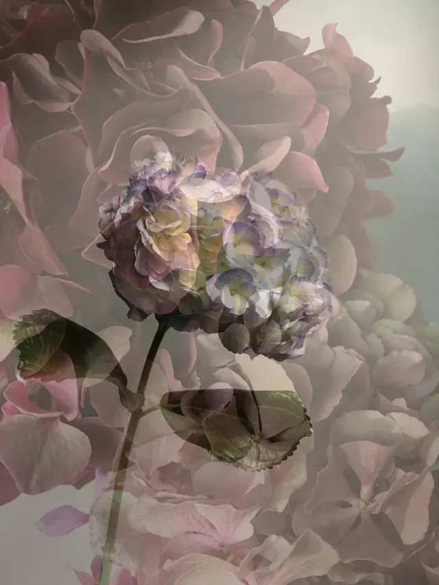 flora