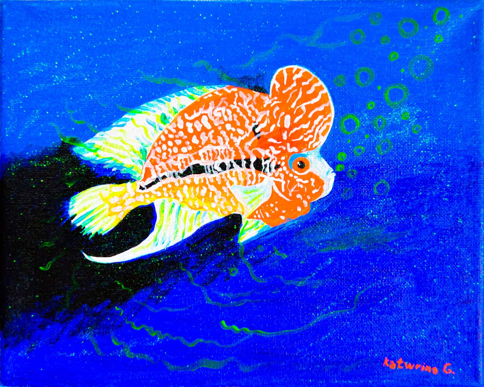 CRISTALLO GOLD ,Lucidato Starlit ,Fish gold -orange