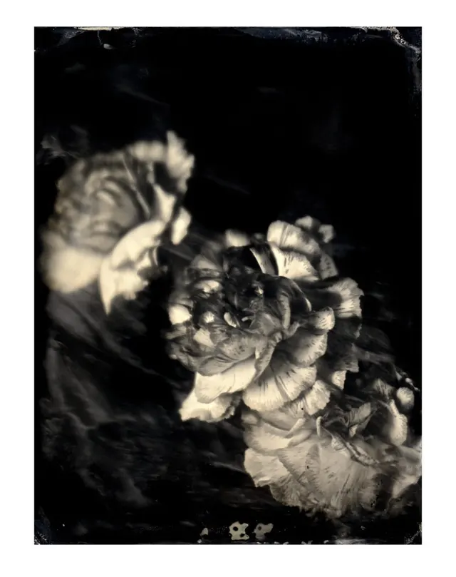 Untitled Ambrotype #32
